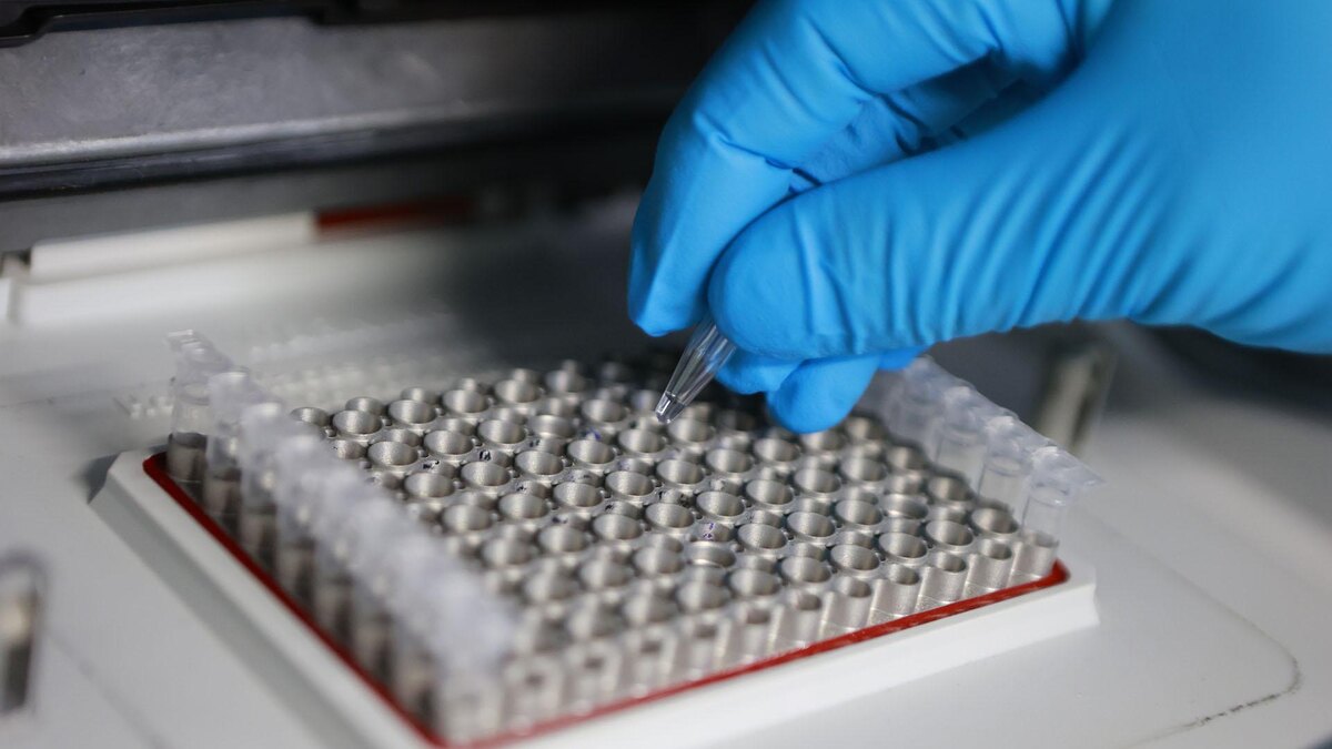    Фото: Matthias Bein/globallookpress.com