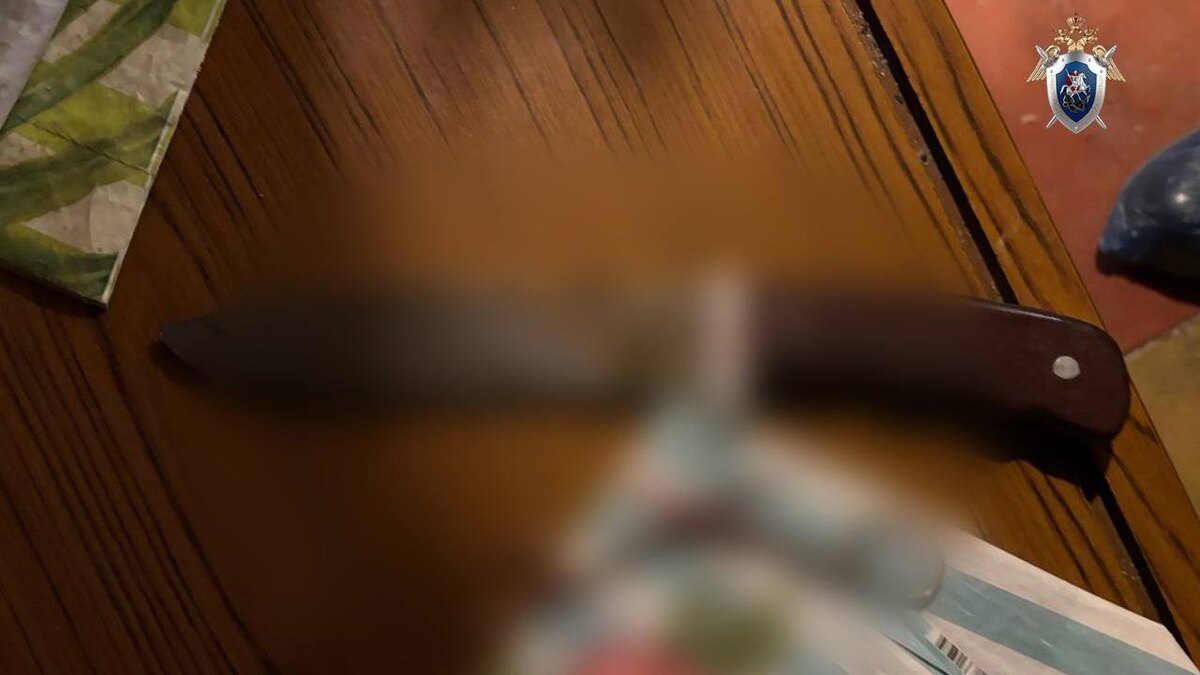    Фото: t.me/gsuskrf_spb