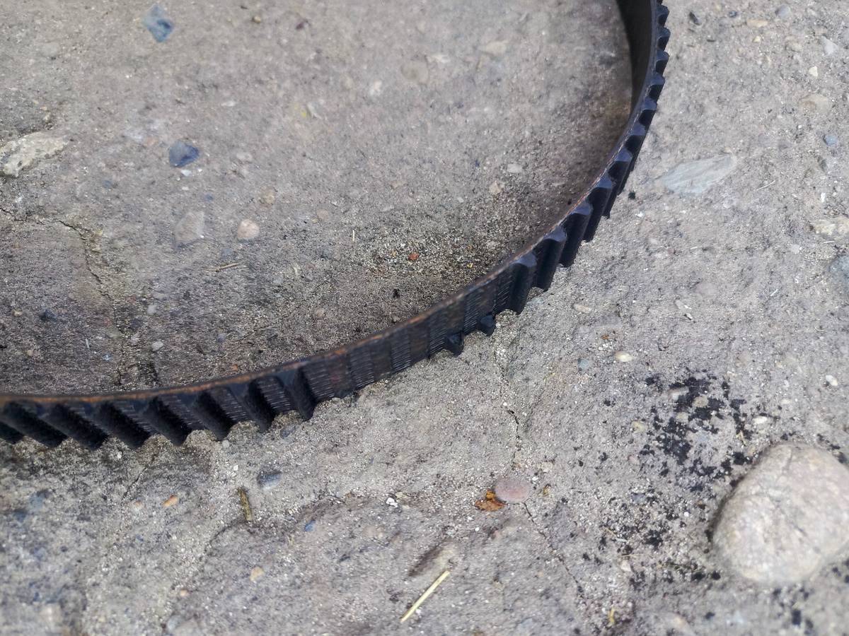 Четырех зубов просто нет