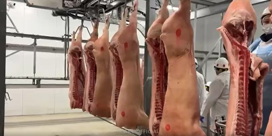    Источник фото: