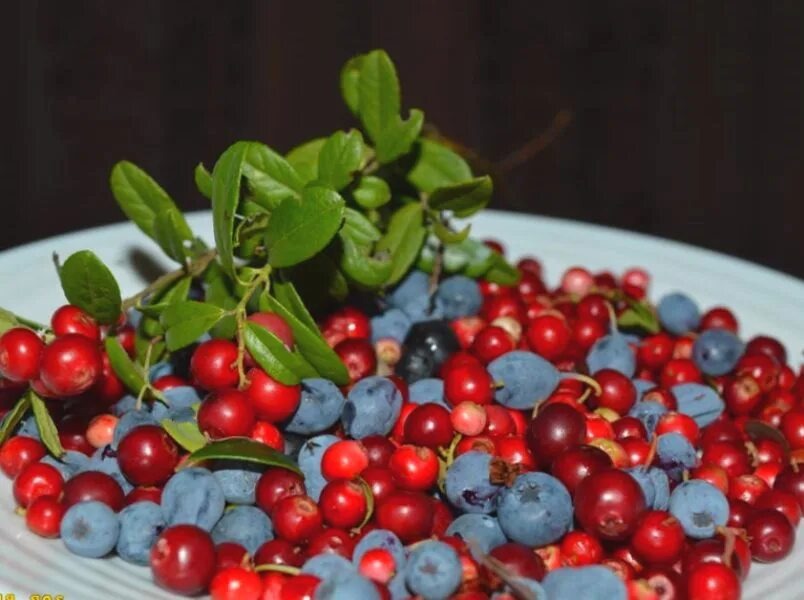 Фото взято из открытого источника.