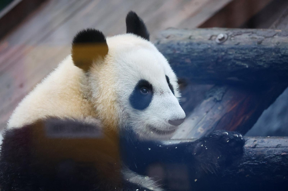    Алексей Белкин/NEWS.ru