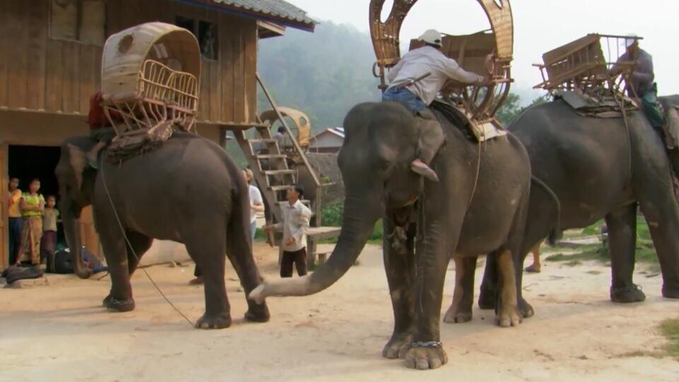 Фото: © Кадр из программы "Невероятно интересные истории", РЕН ТВ