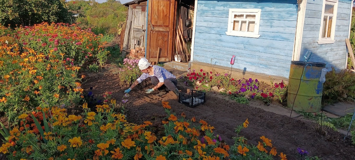    В 65 лет продал жилье в городе и переехал в деревню - рассказываю, что из этого вышло