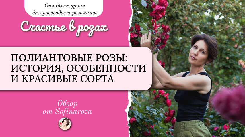 «Счастье в розах», выпуск №38, 29 августа 2025г.
