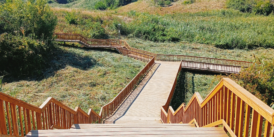 Познаем достопримечательности Ростова-на-Дону: Мухина балка, Аксай. Балка есть, мух нет. Или где же эта фотозона?