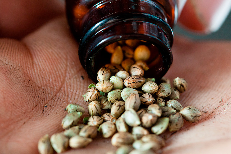    Shutterstock/FOTODOM