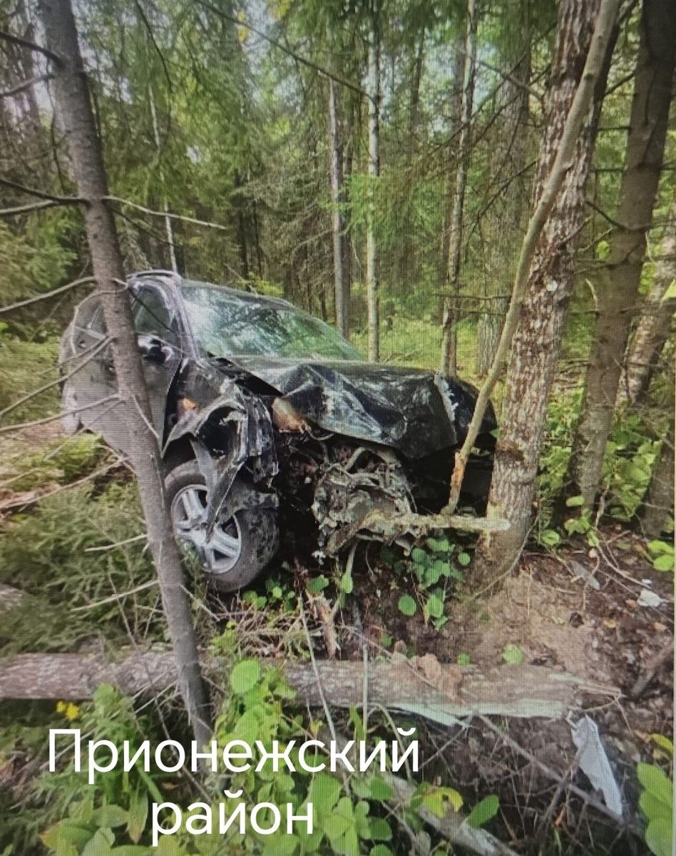    Фото: Госавтоинспекция Карелии / ВК