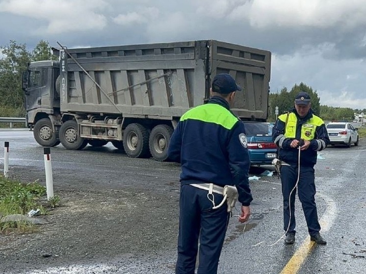     фото: пресс-служба Управления Госавтоинспекции ГУ МВД России по Свердловской области