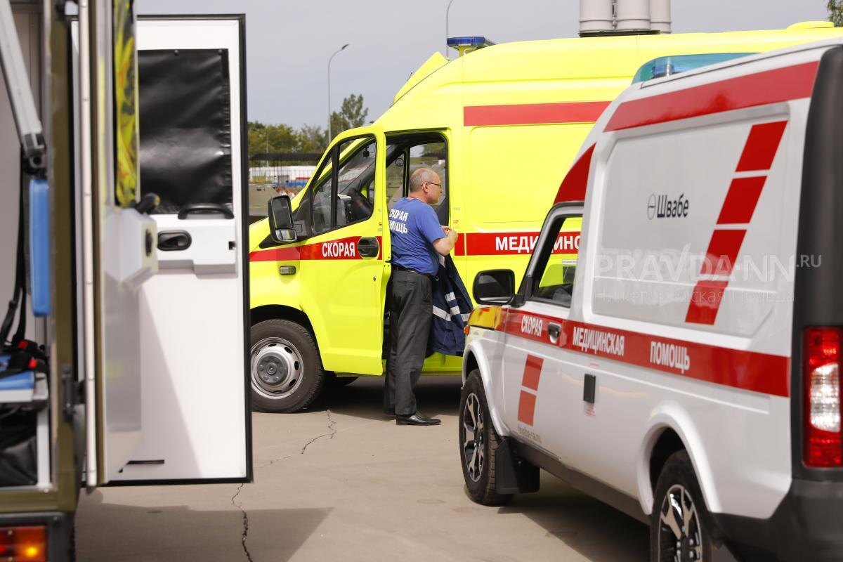    Дети более уязвимы к отравлениям грибами, чем взрослые