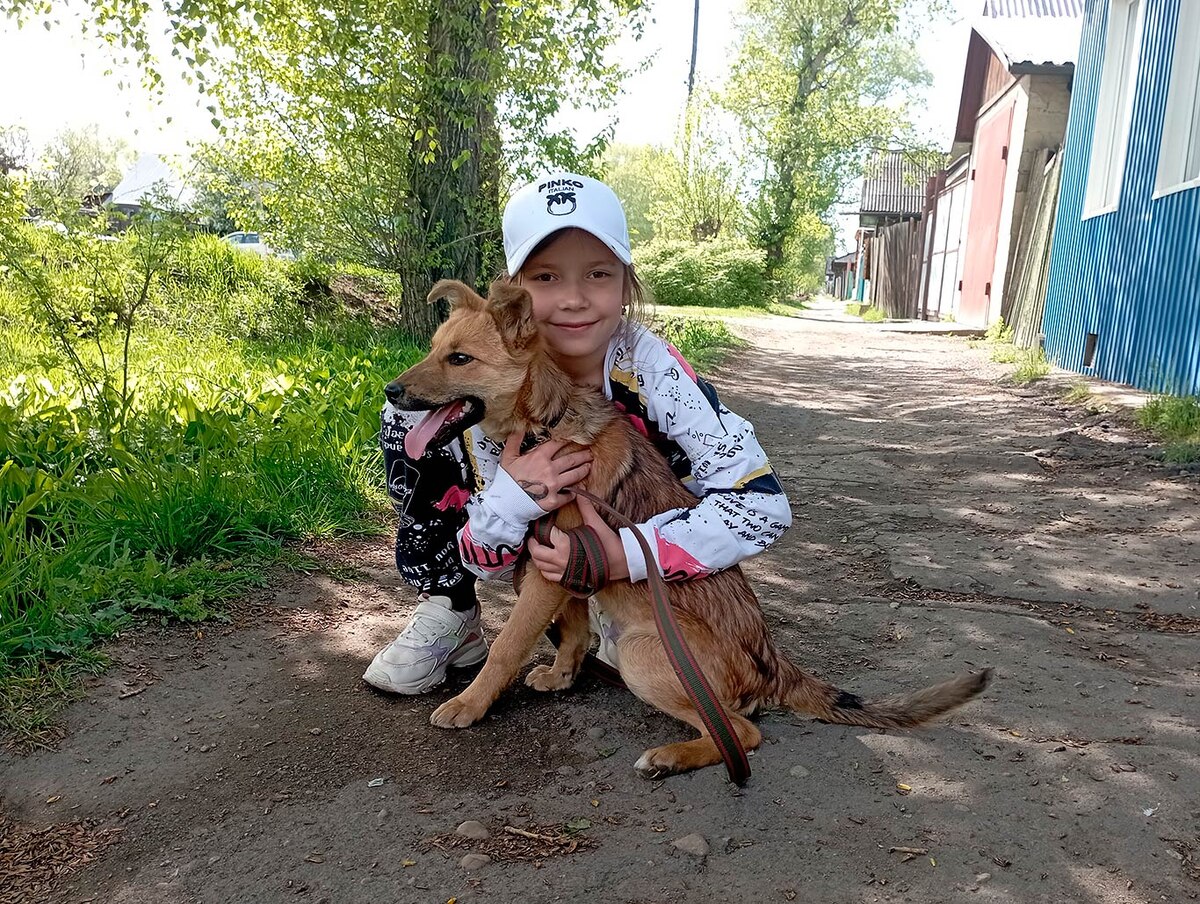 Собачка Катрина быстро привыкла к поводку и любит гулять. Фото Ангелины СИМОНОВОЙ.