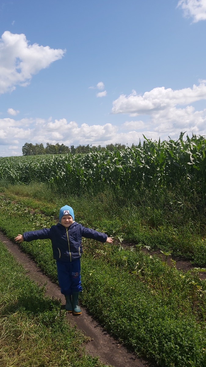 Фото автора.  Лето, в деревне.