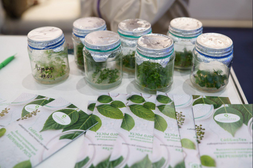    Фото: правительство НСО