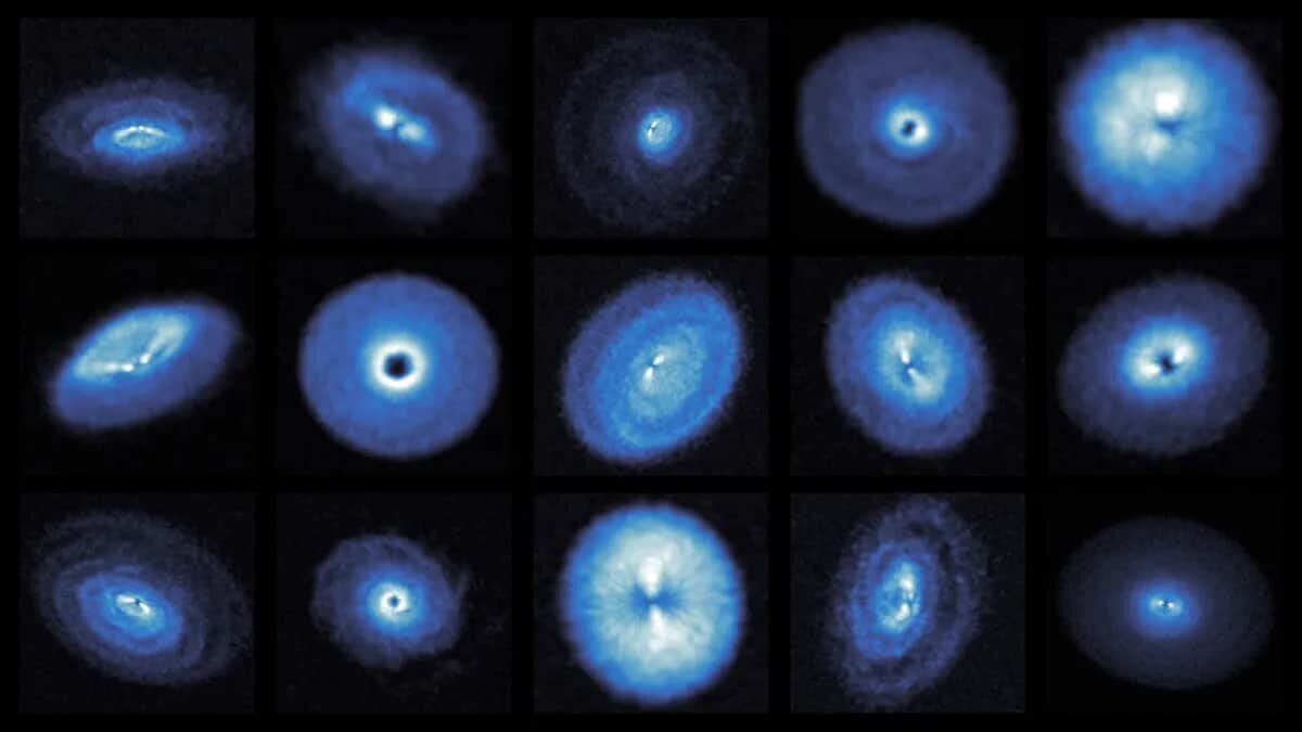    На изображении, полученном с помощью радиоинтерферометра ALMA 15 протопланетных дисков вокруг молодых звезд. / © Richard Teague and the exoALMA Collaboration