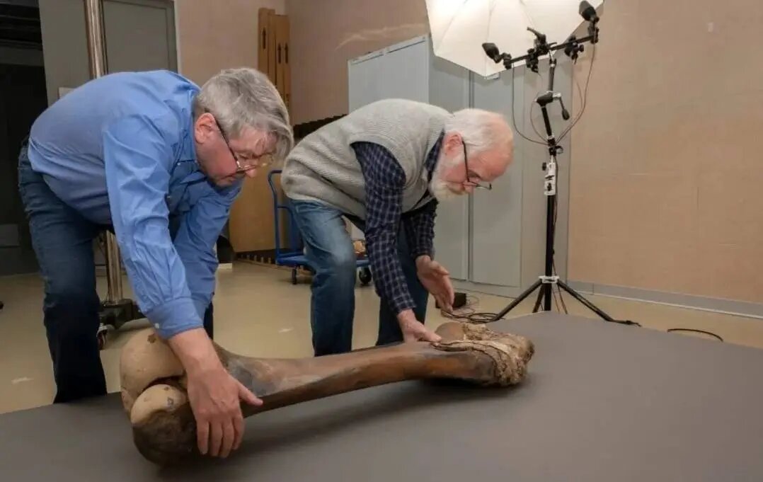    Фото: телеграм-канал Александра Дрозденко