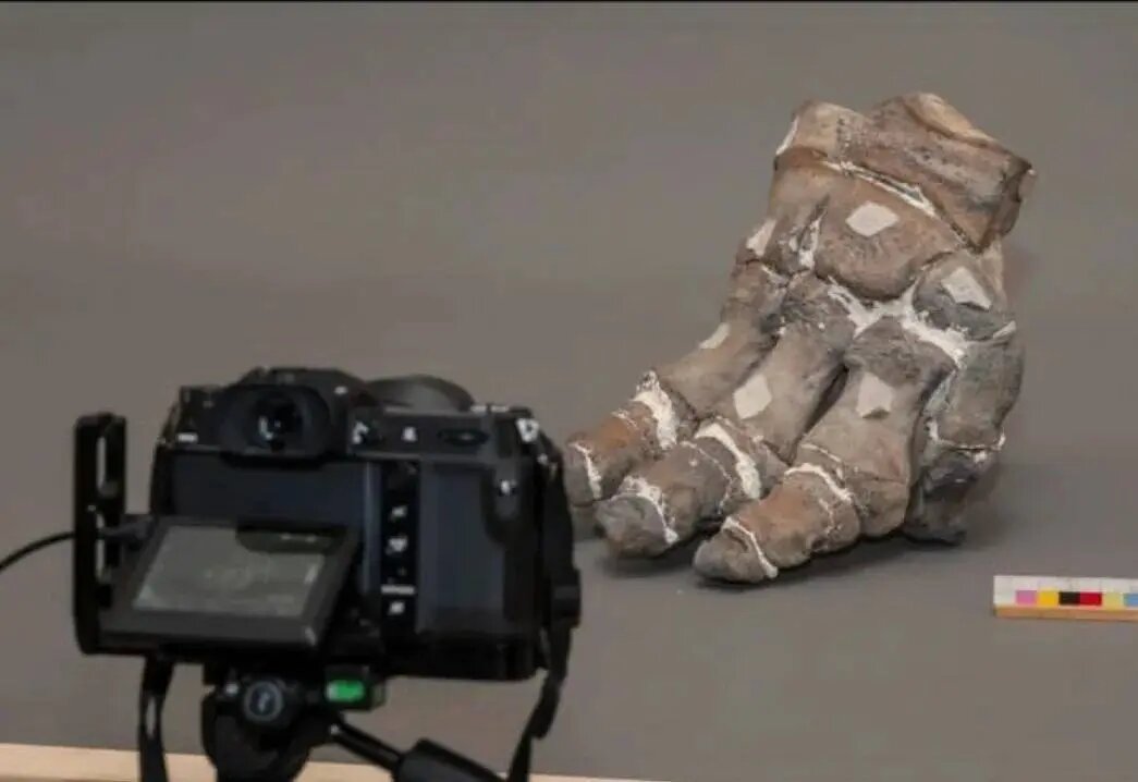    Фото: телеграм-канал Александра Дрозденко