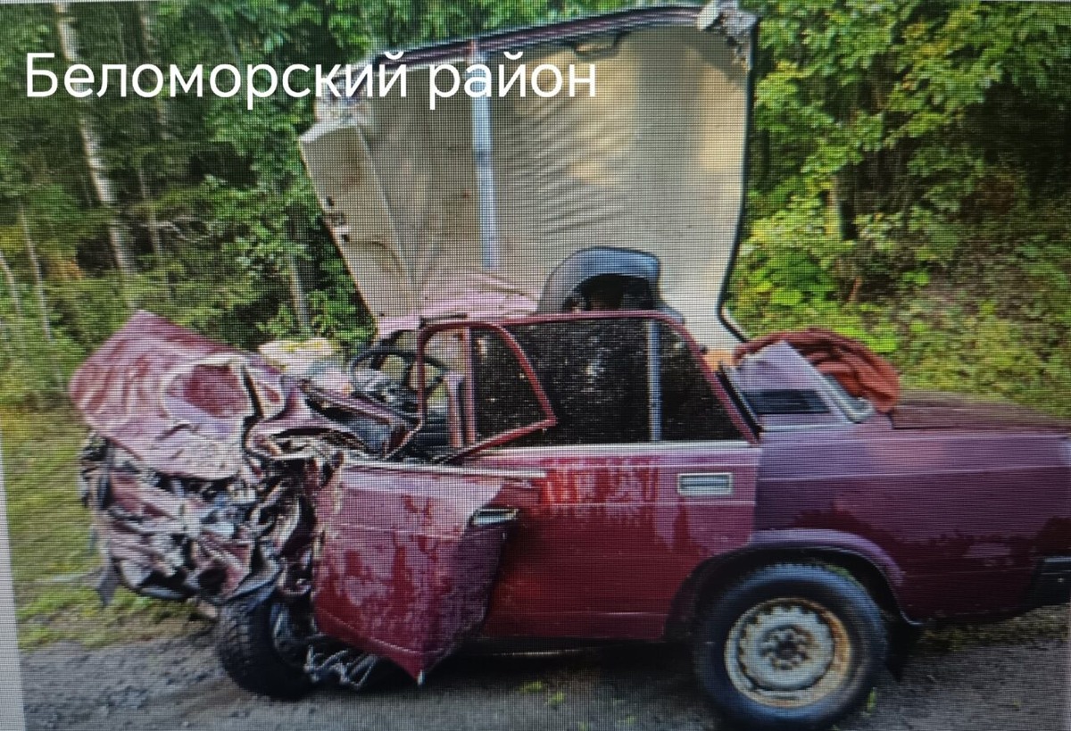    Фото: Госавтоинспекция Карелии / ВК