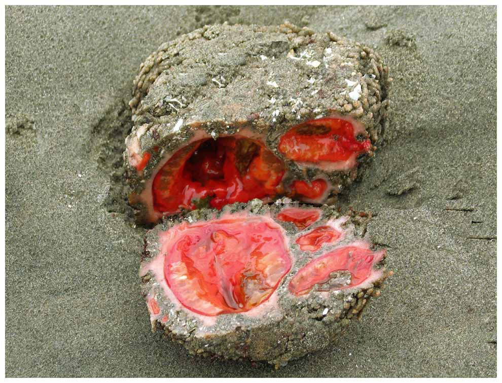 Когда я спрашивала, что приготовить, ты сказал: «решай сама». Вот я и решила! Будешь есть камни!