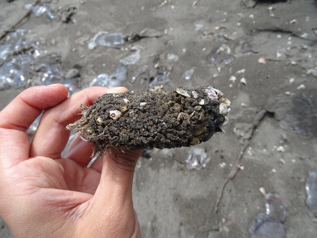 М-м-м, выглядит аппетитно! 