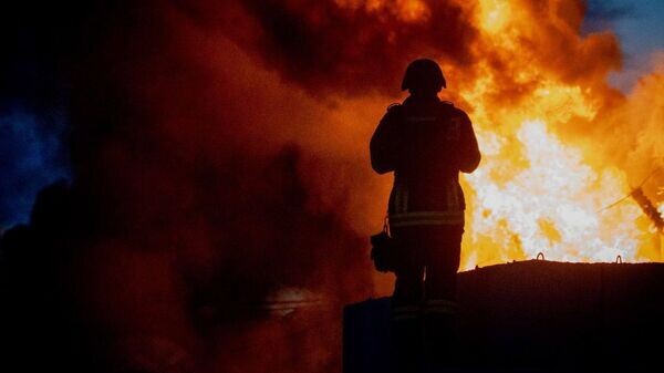    © Telegram Владимир Зеленский