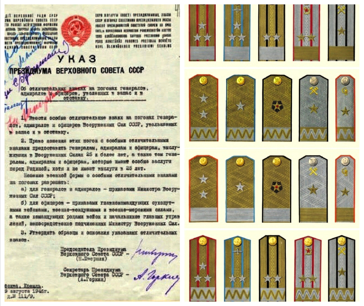 Фото из открытых источников.