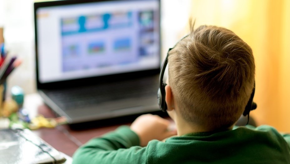    Автор фото: ARVD73/Shutterstock/FOTODOM