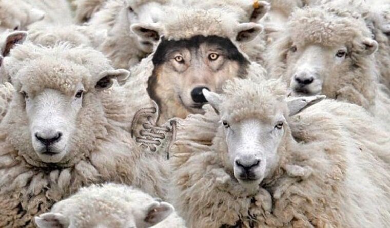 Изображение из открытых источников