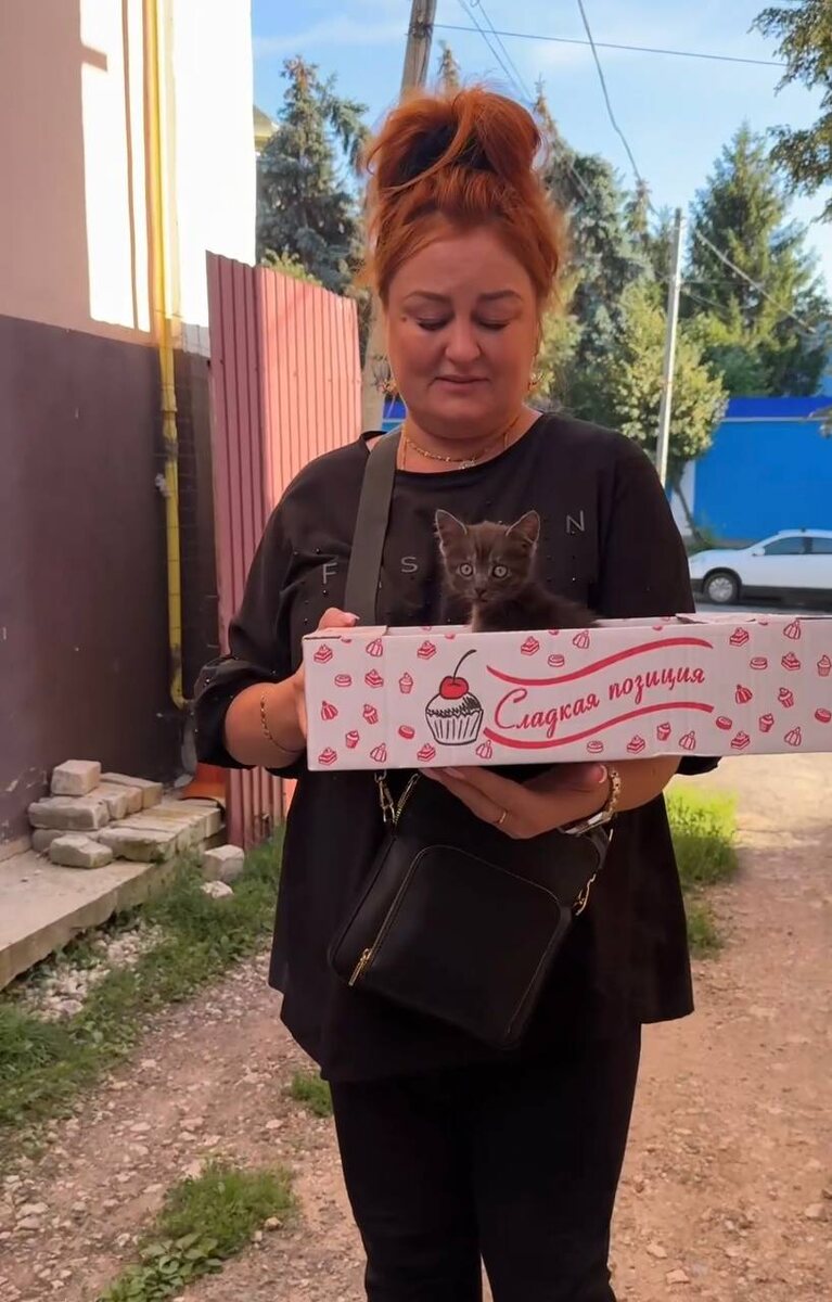 Вот такая сладкая позиция теперь в кошкином доме. Фото из архива автора