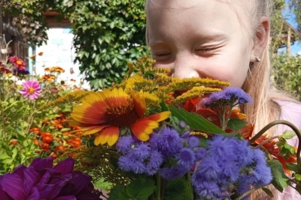    До +19 потеплеет в Свердловской области в День знаний