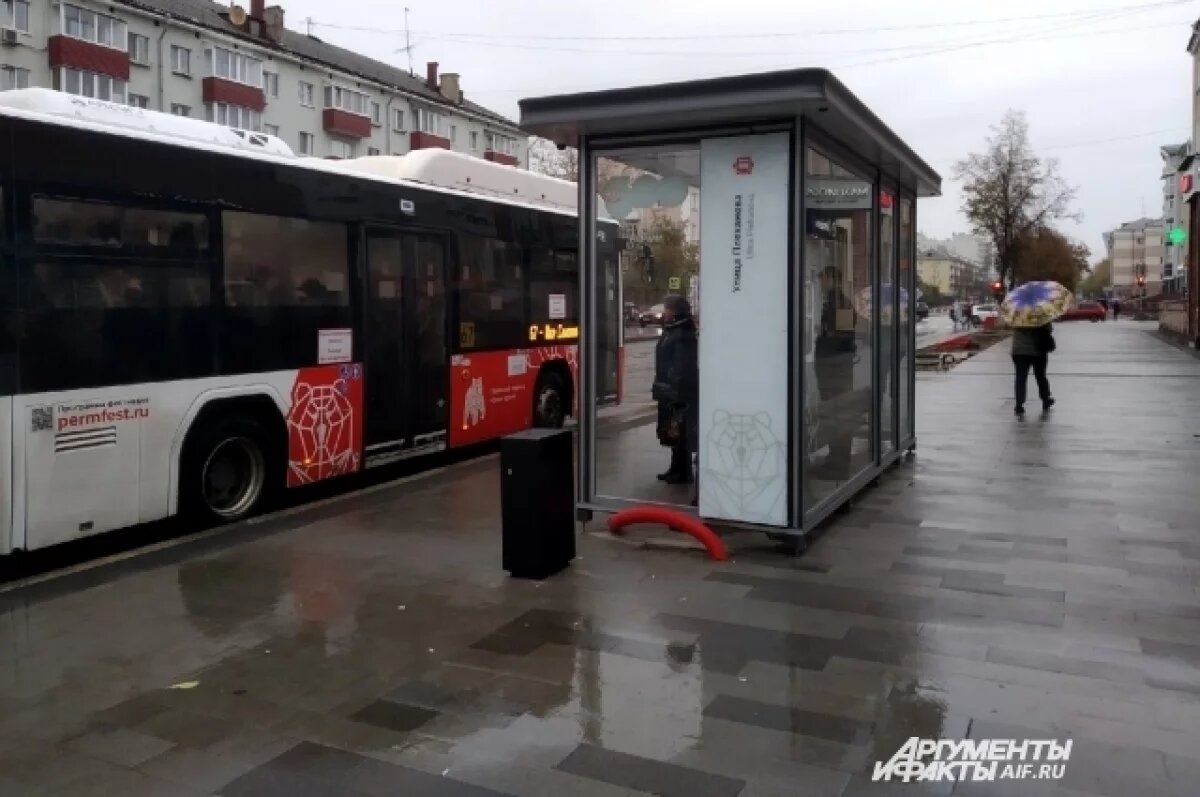    В Перми проверят «умные» остановки, которые начали говорить с людьми