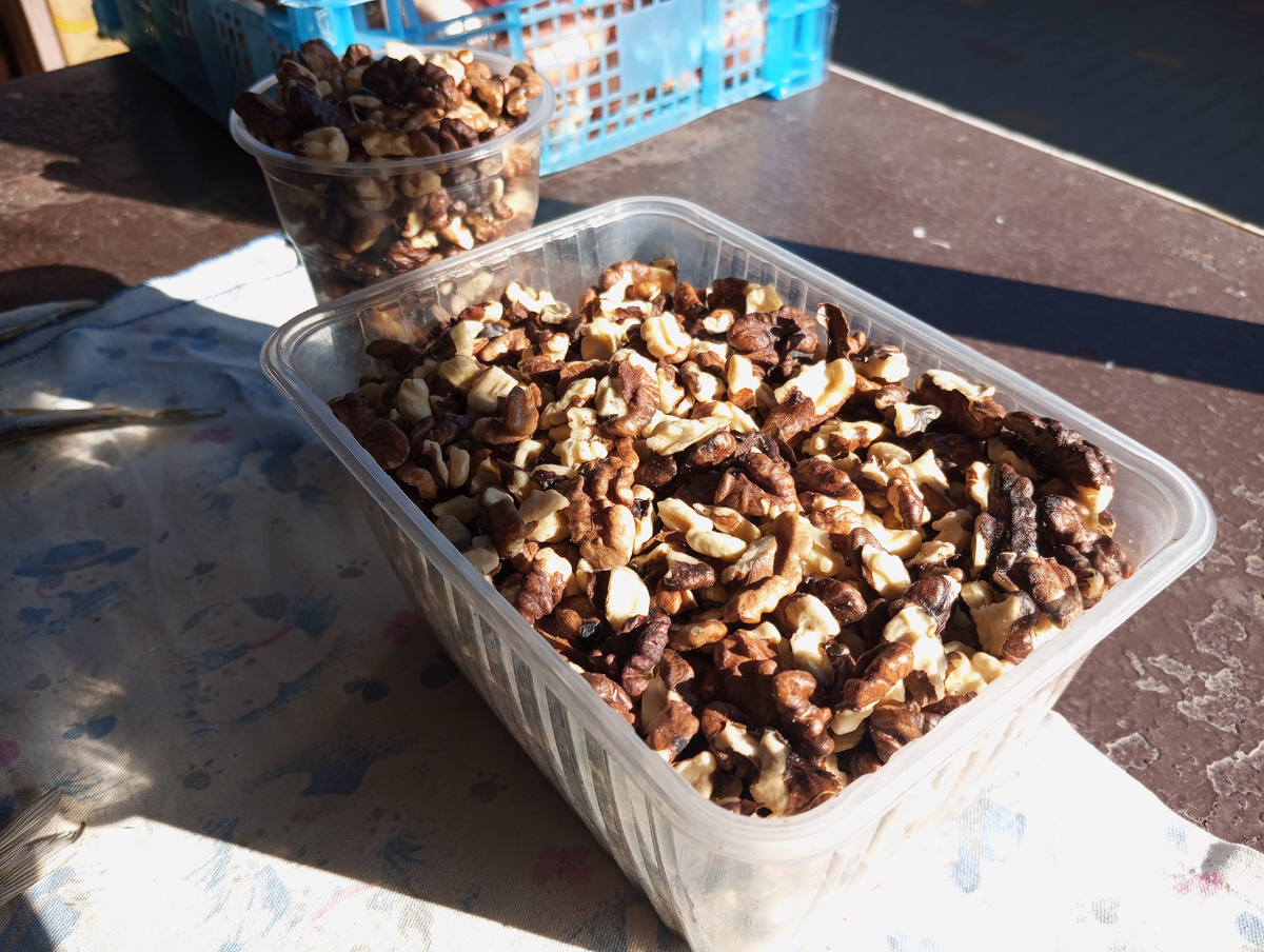 Фото: Виолетта Гавриленко.