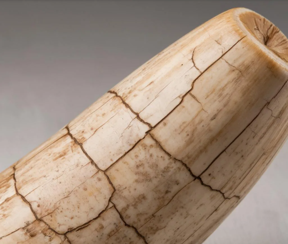 Изображение создано с помощью ИИ
