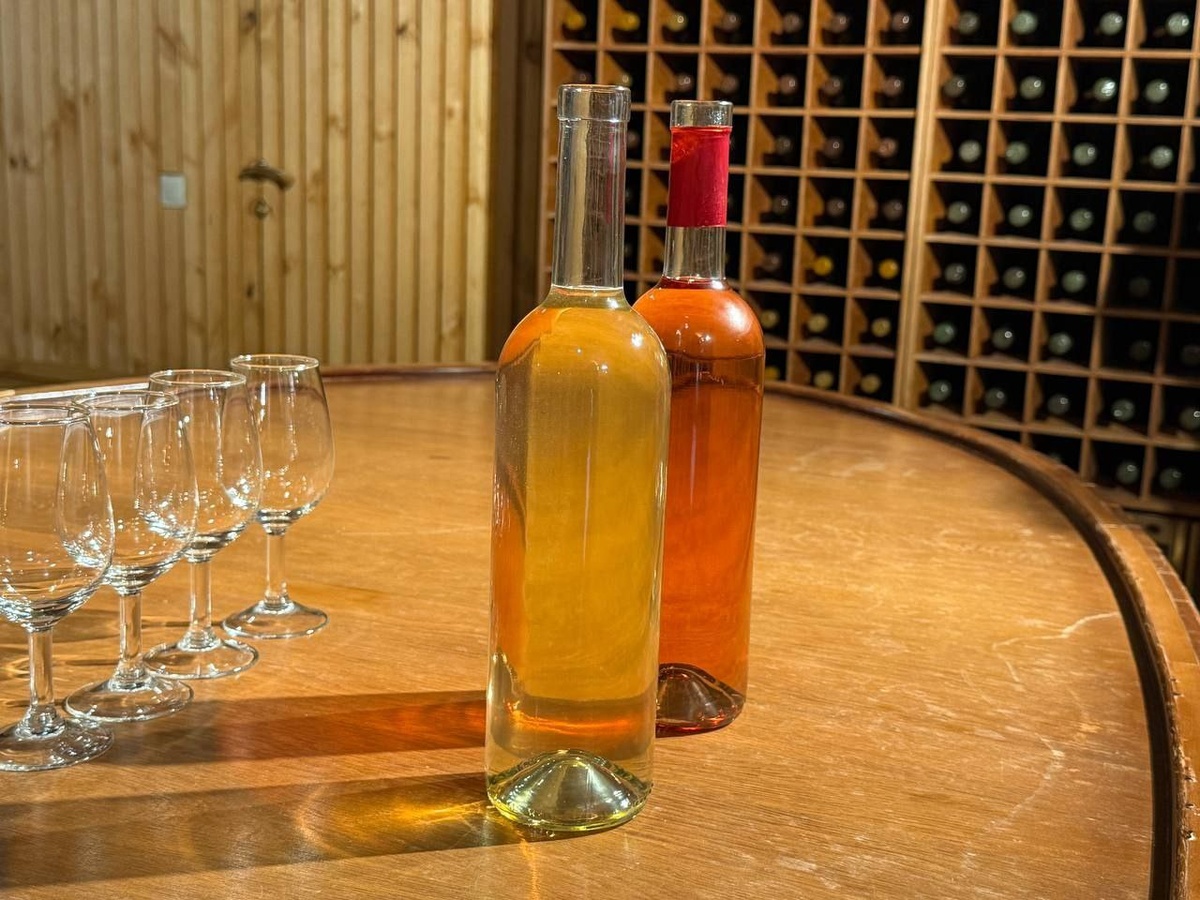 Фото: телеканал «Краснодар»
