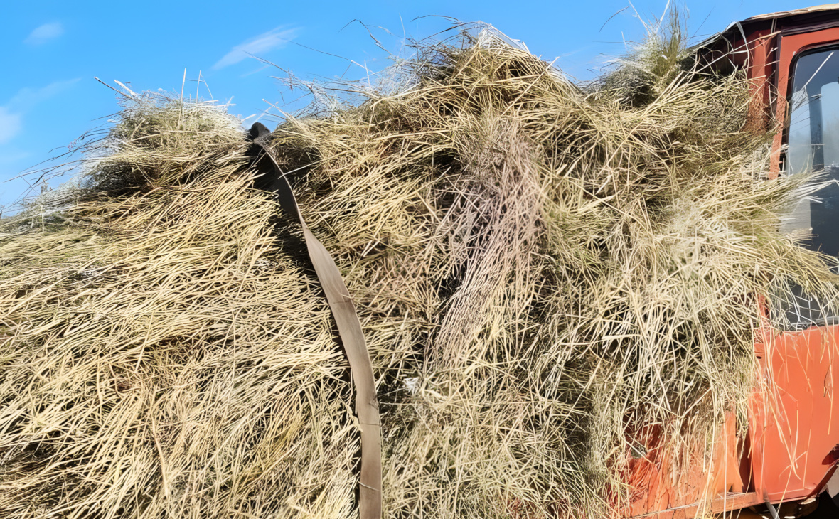 Фото: РБК Черноземье