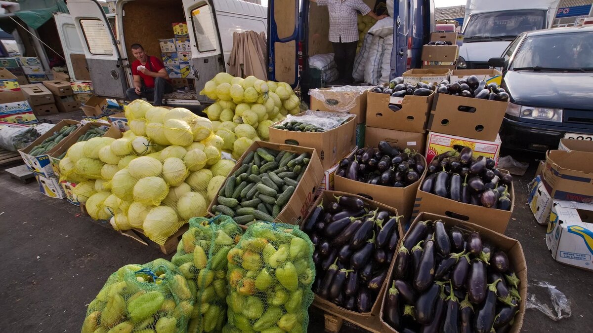 © Sputnik / Сергей Мальгавко / Перейти в фотобанк