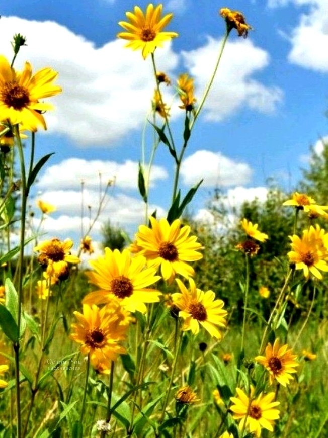 Фото взято из интернета