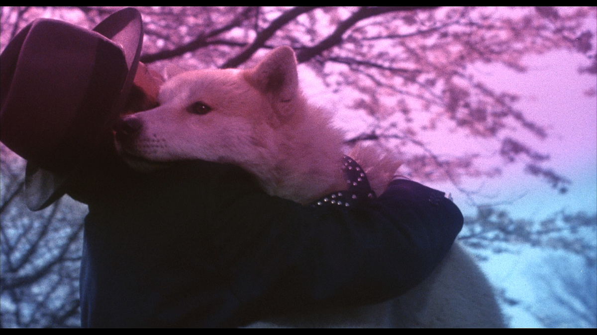 Кадр из фильма История Хатико (1987) 