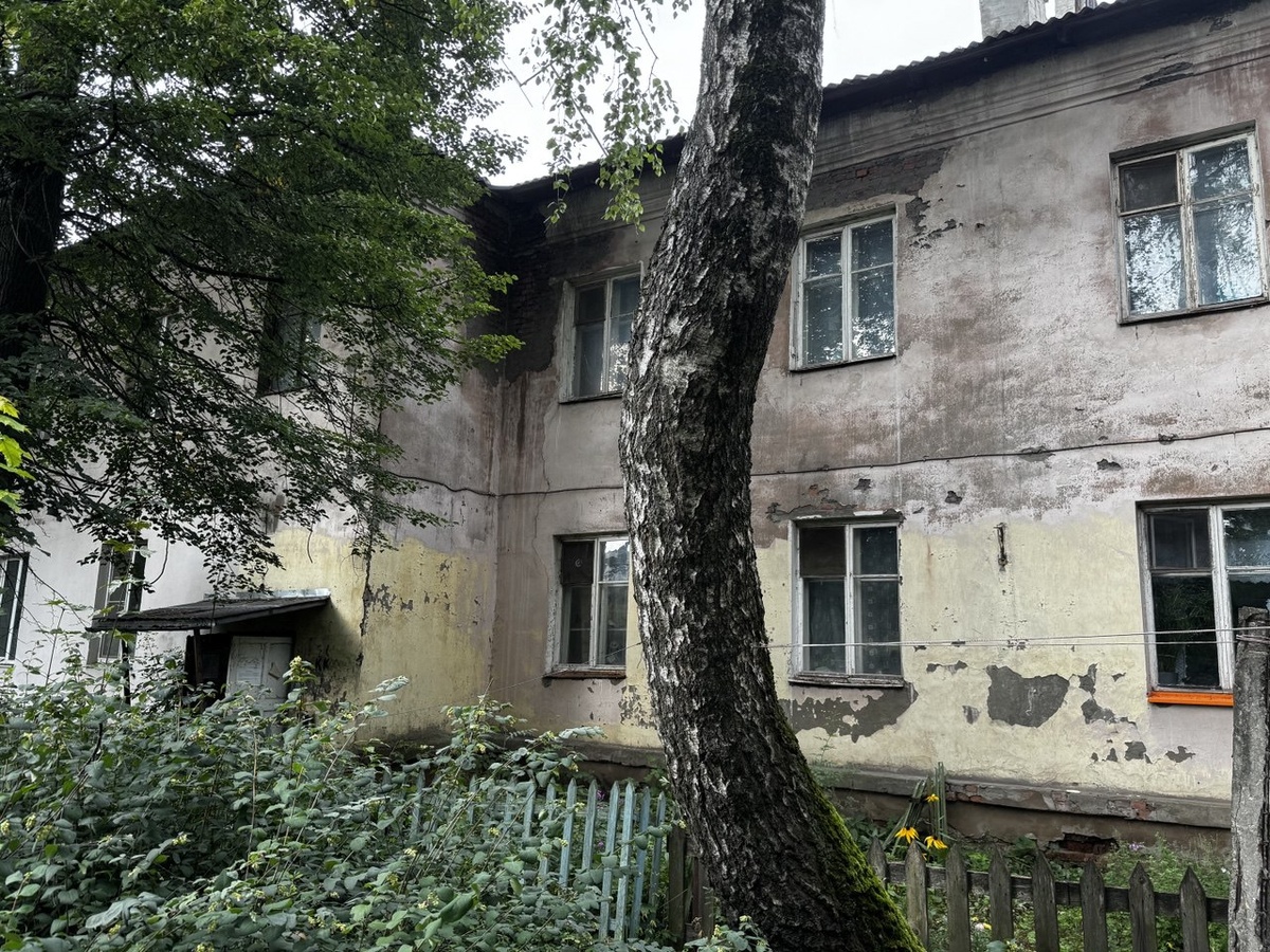 Фото: Тульская служба новостей