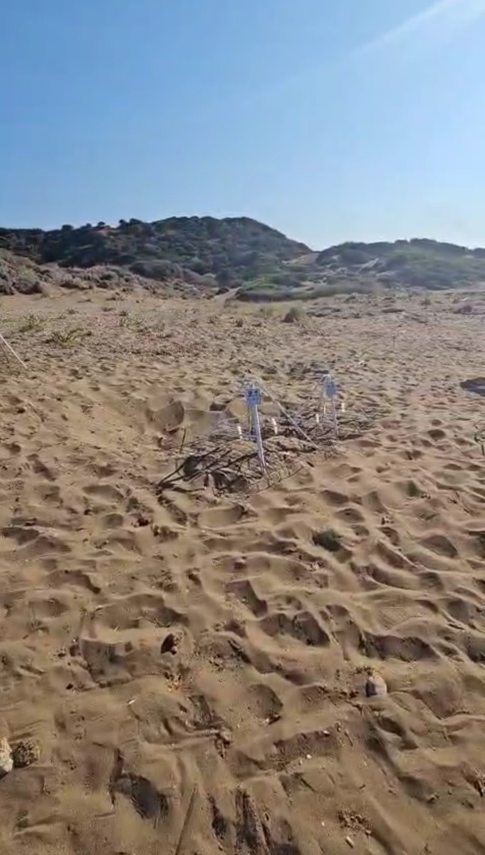 Вот такие домики делают волонтеры