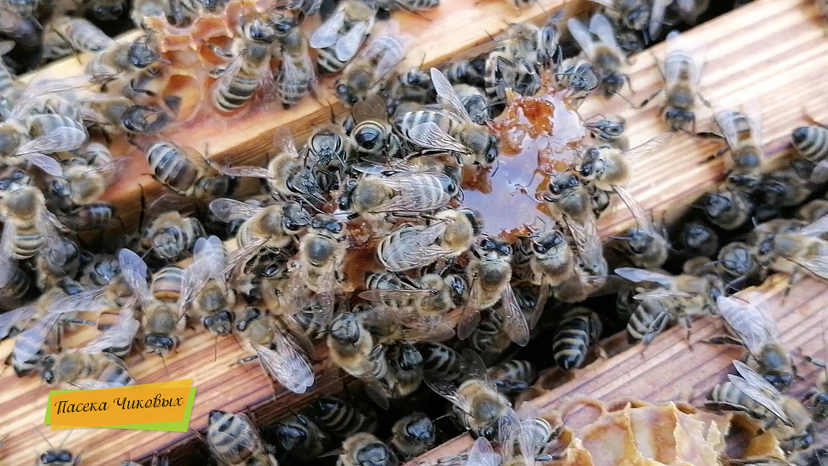 фото просто так...