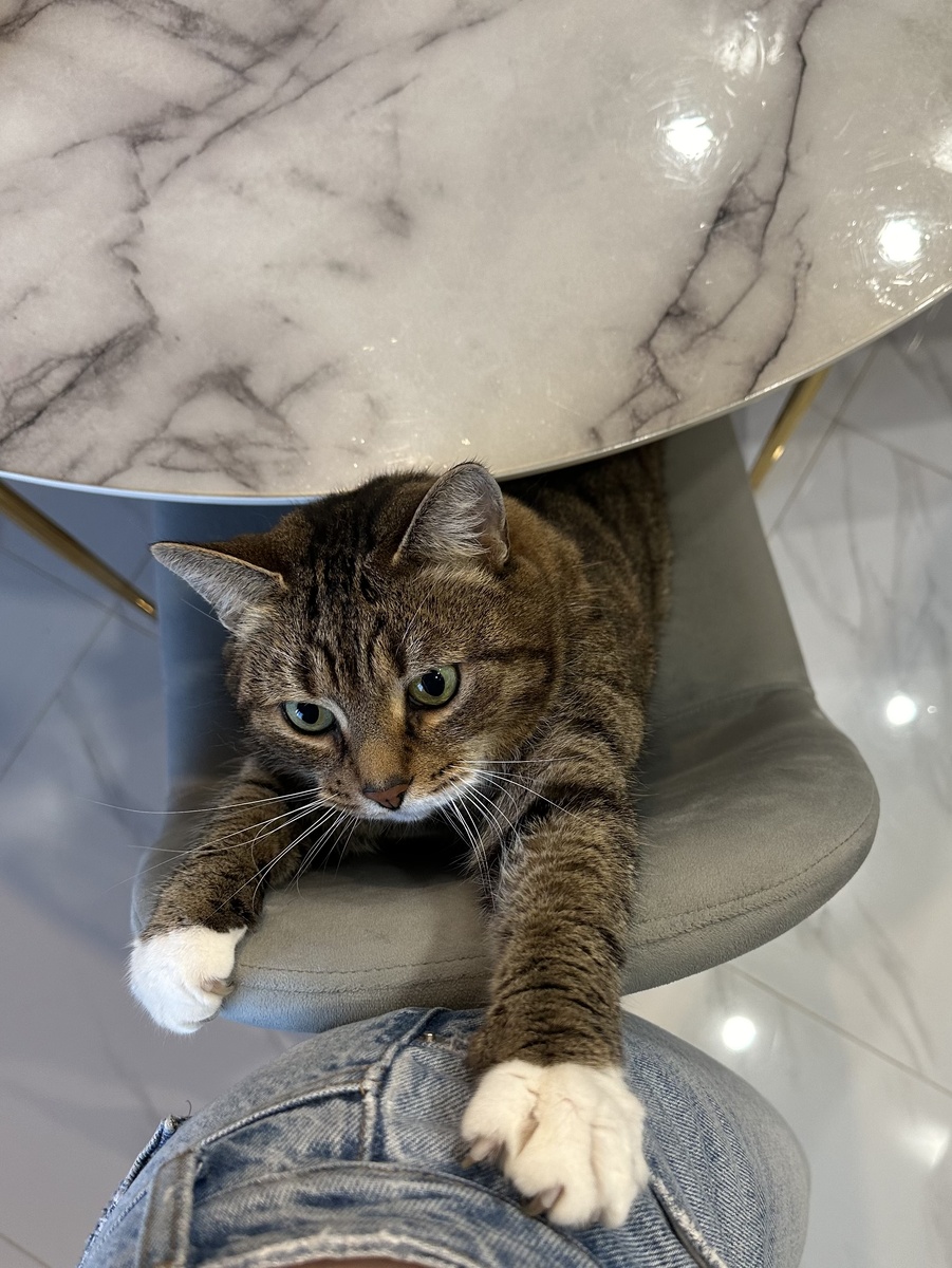 «Поиграй со мной!»