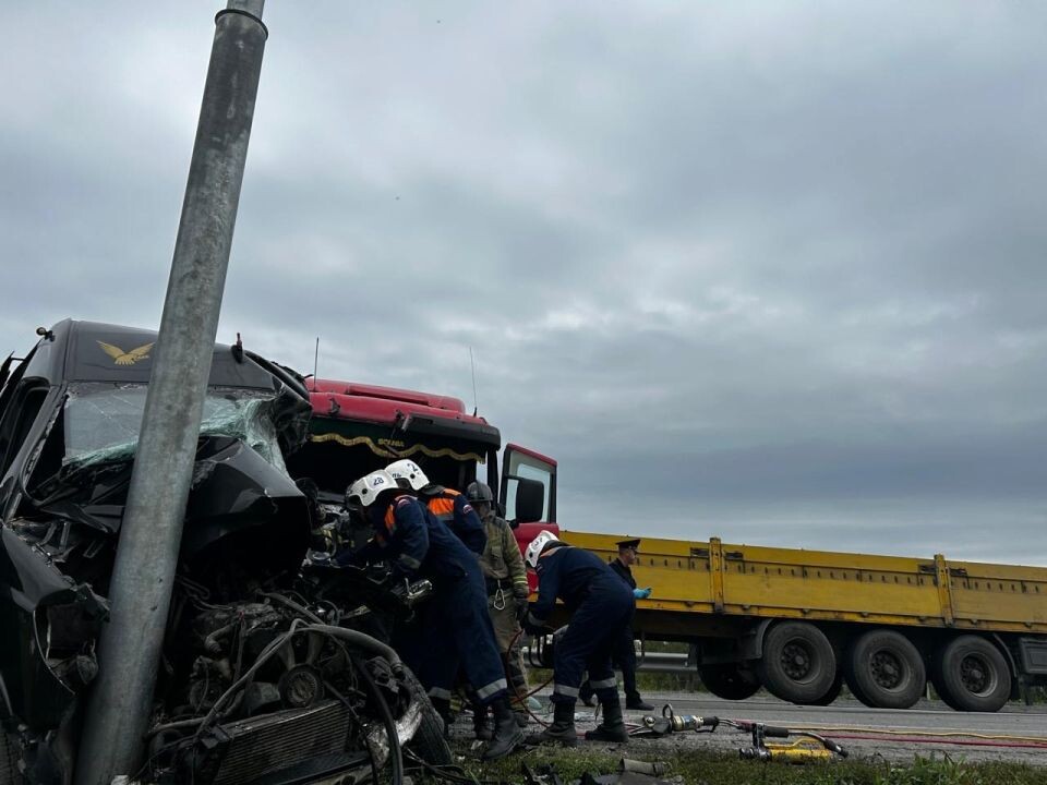    Смертельное ДТП в Новосибирской области. Источник: Госавтоинспекция Новосибирской области