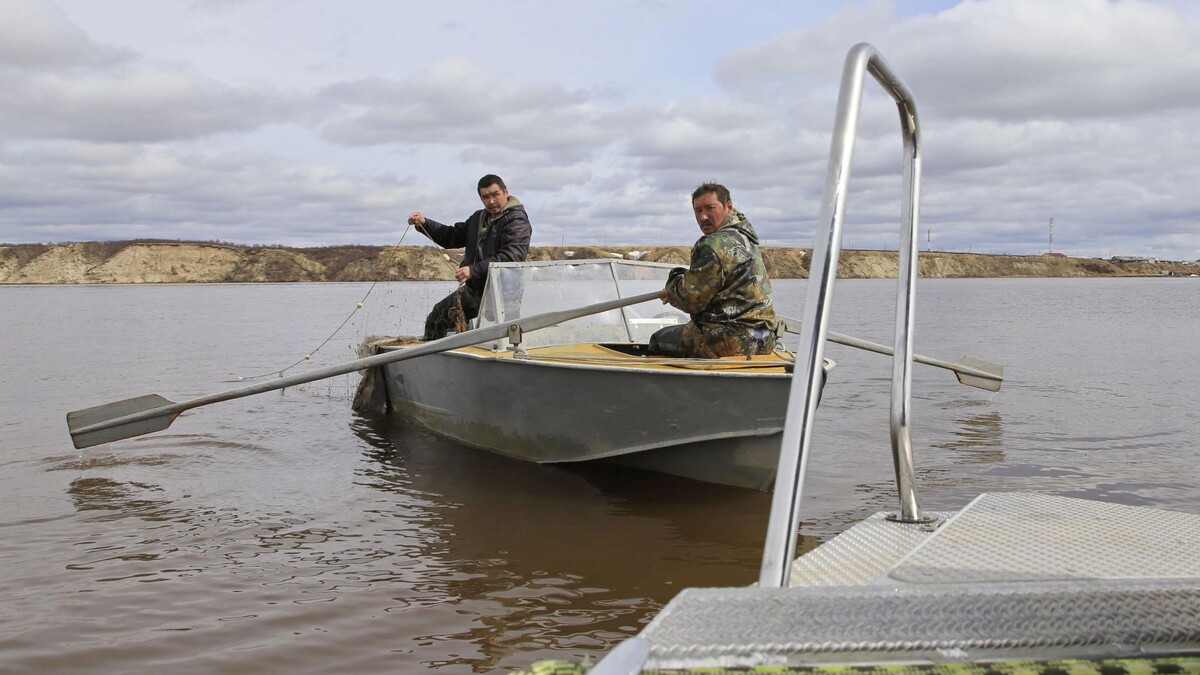    Фото: Андрей Ткачев / «Ямал-Медиа»