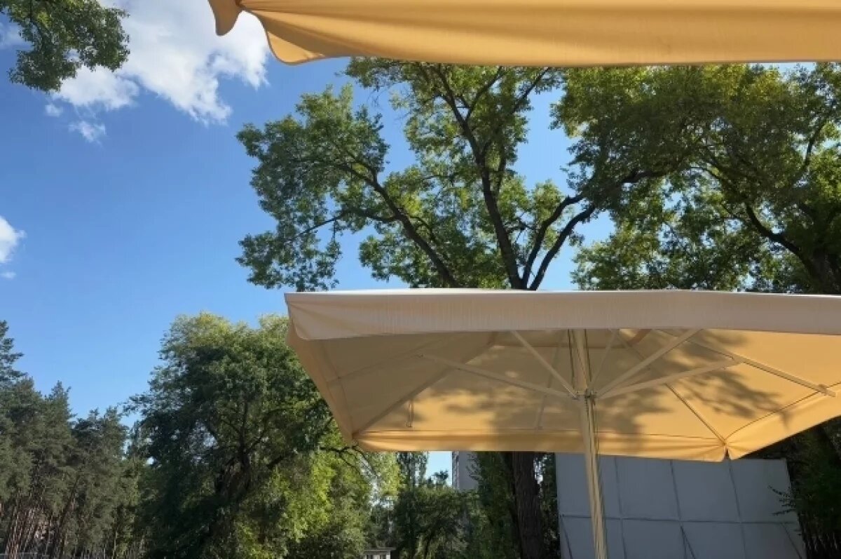    Жару до +31° обещают воронежские синоптики в последние выходные лета