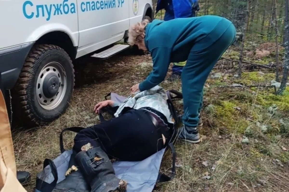   В Удмуртии спасатели вывели из леса заблудившегося пенсионера