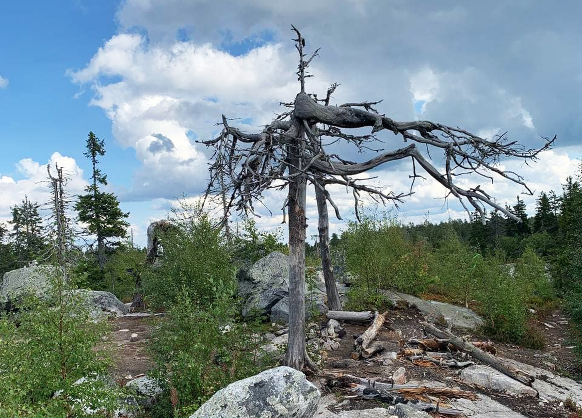 Воттоваара, Карелия