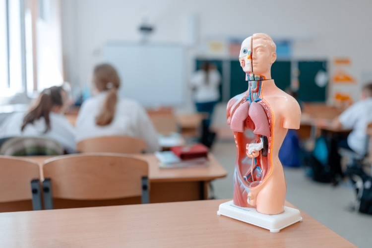    Фото: Геннадий Дьячук