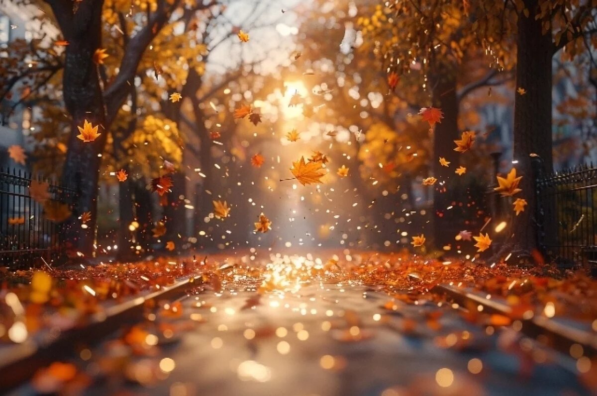    Синоптик Шувалов пообещал теплую погоду в первой половине сентября