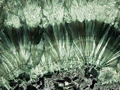 Фото из сети