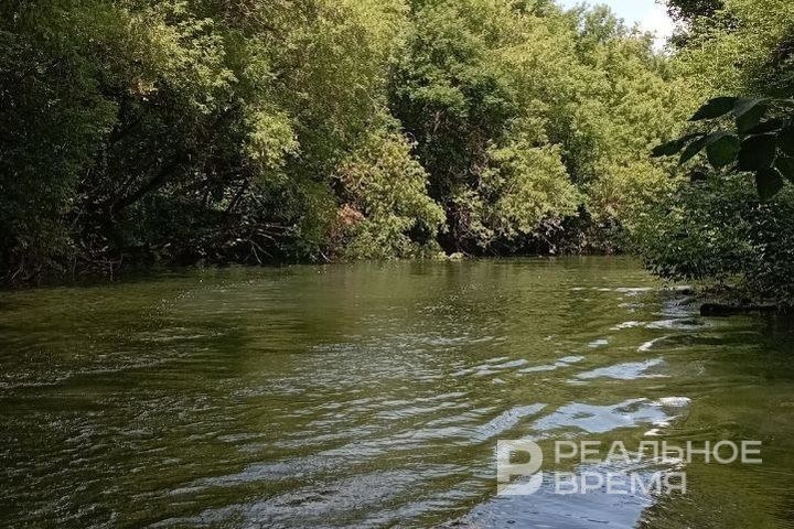   Людмила Губаева / realnoevremya.ru